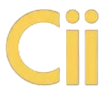 CIIDV Logo Icon
