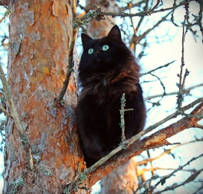 Занятия на природе на закате (тест)
